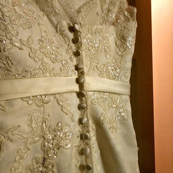 Champagne Wedding Dress - Picture 5 of 9